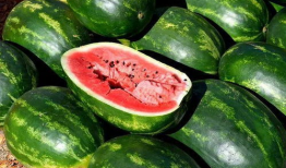 吃瓜娱乐圈图画高清图片,揭秘吃瓜群众的视觉盛宴