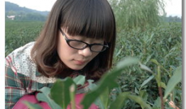 麻豆第一页,揭开时尚界的神秘面纱